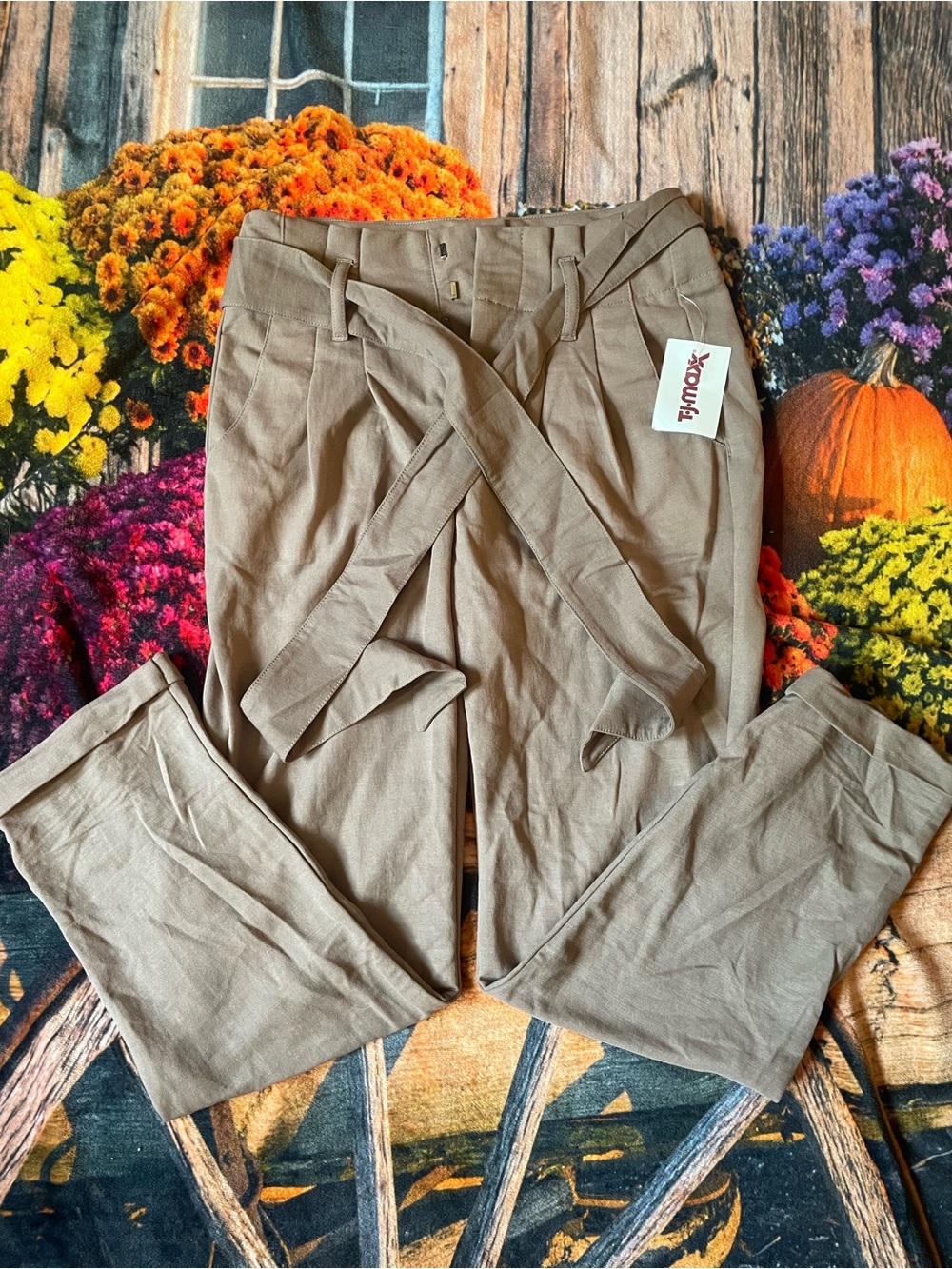 Indigo Rein Dress Pants